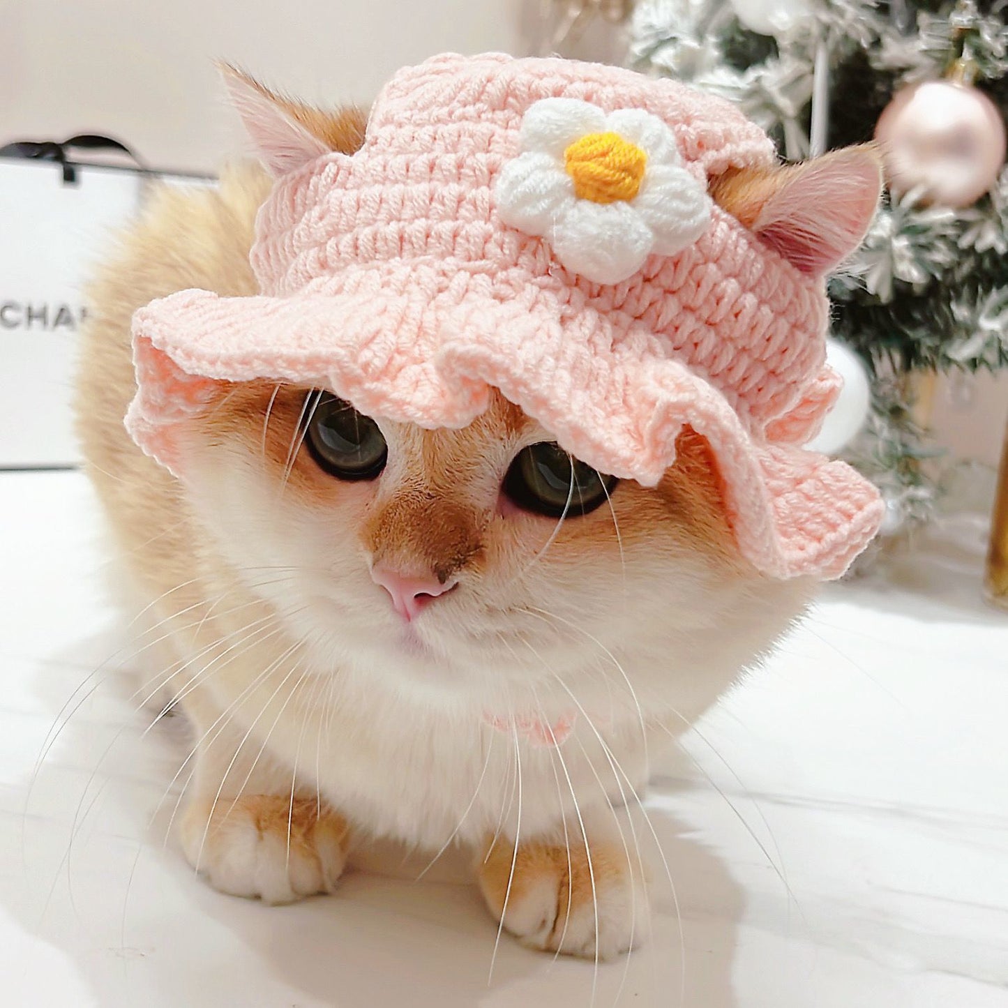 Cute Knitted Pet Hat Set for Cats and Dogs
