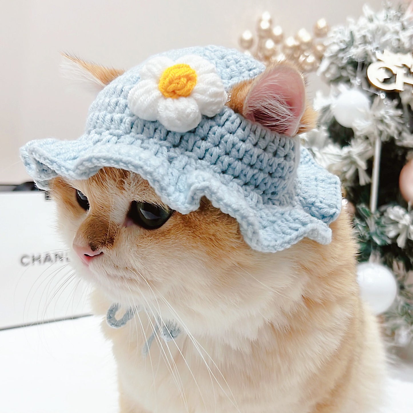 Cute Knitted Pet Hat Set for Cats and Dogs